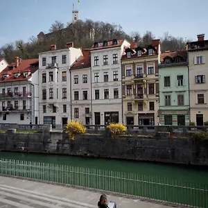 Vitez I Ljubljana